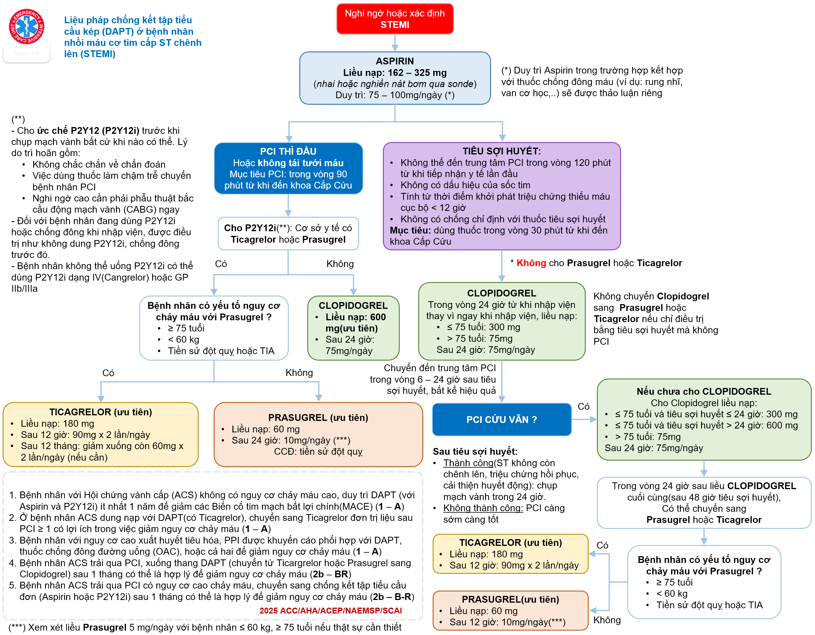 Chiến lược sử dụng thuốc DAPT