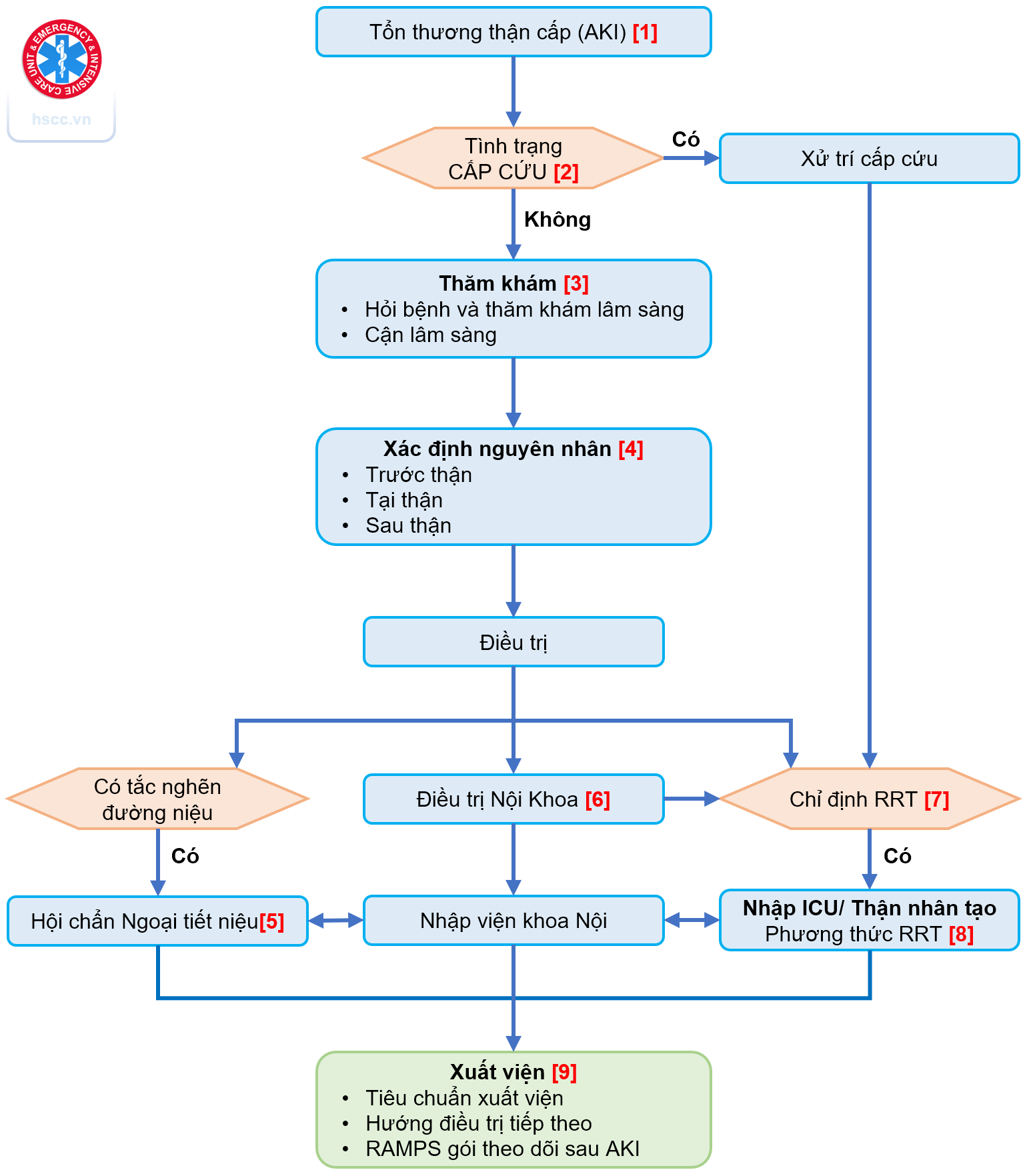 Sơ đồ tiếp cận chẩn đoán và xử trí AKI