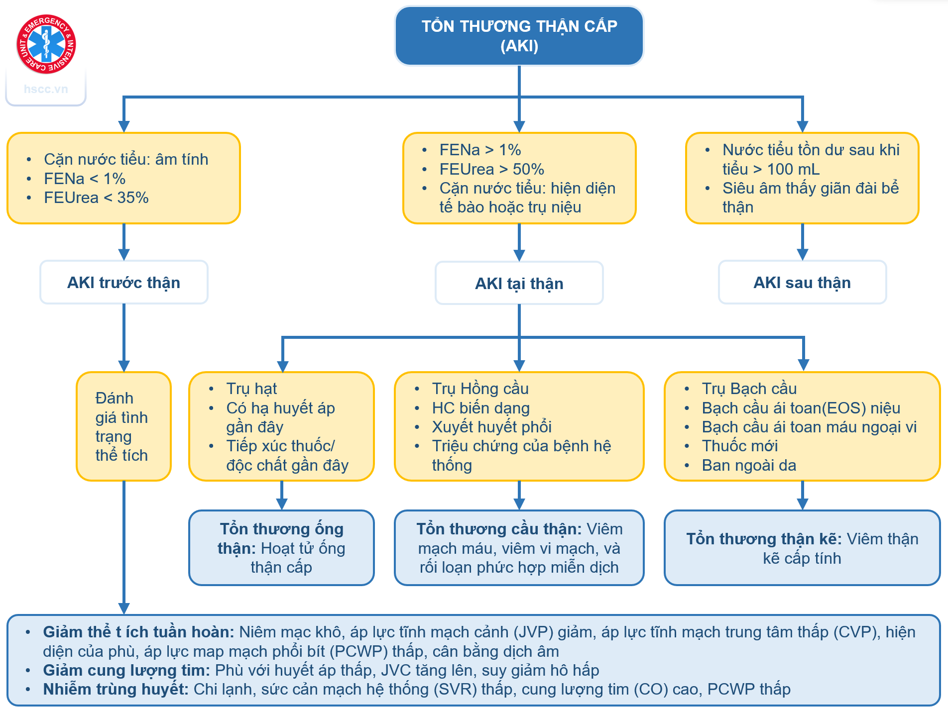Sơ đồ tiếp cận tìm nguyên nhân AKI