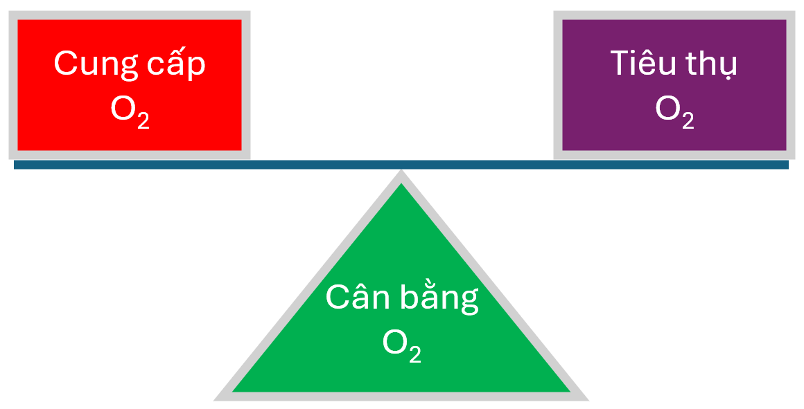 Cân bằng Oxy