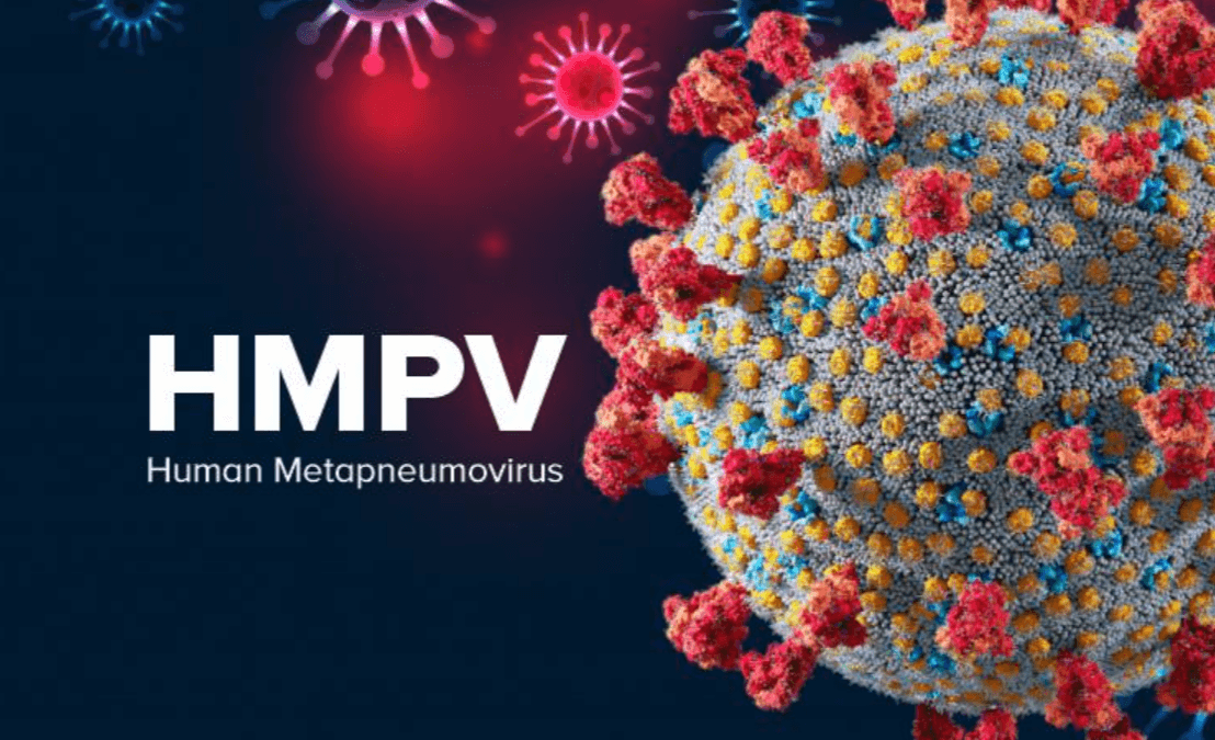 Vi rút gây viêm phổi ở người (hMPV)