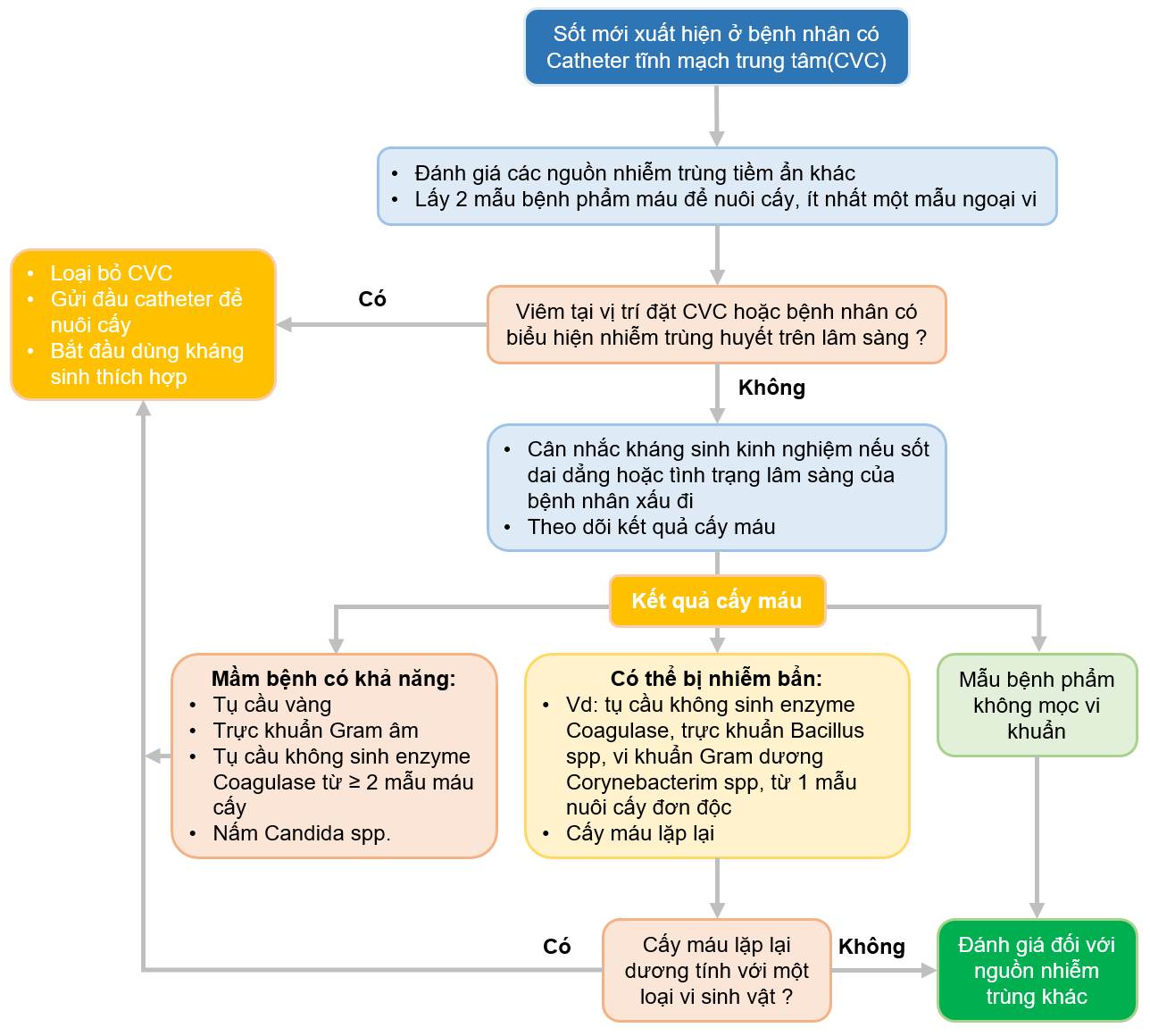 Nhiễm trùng dòng máu liên quan đến Catheter