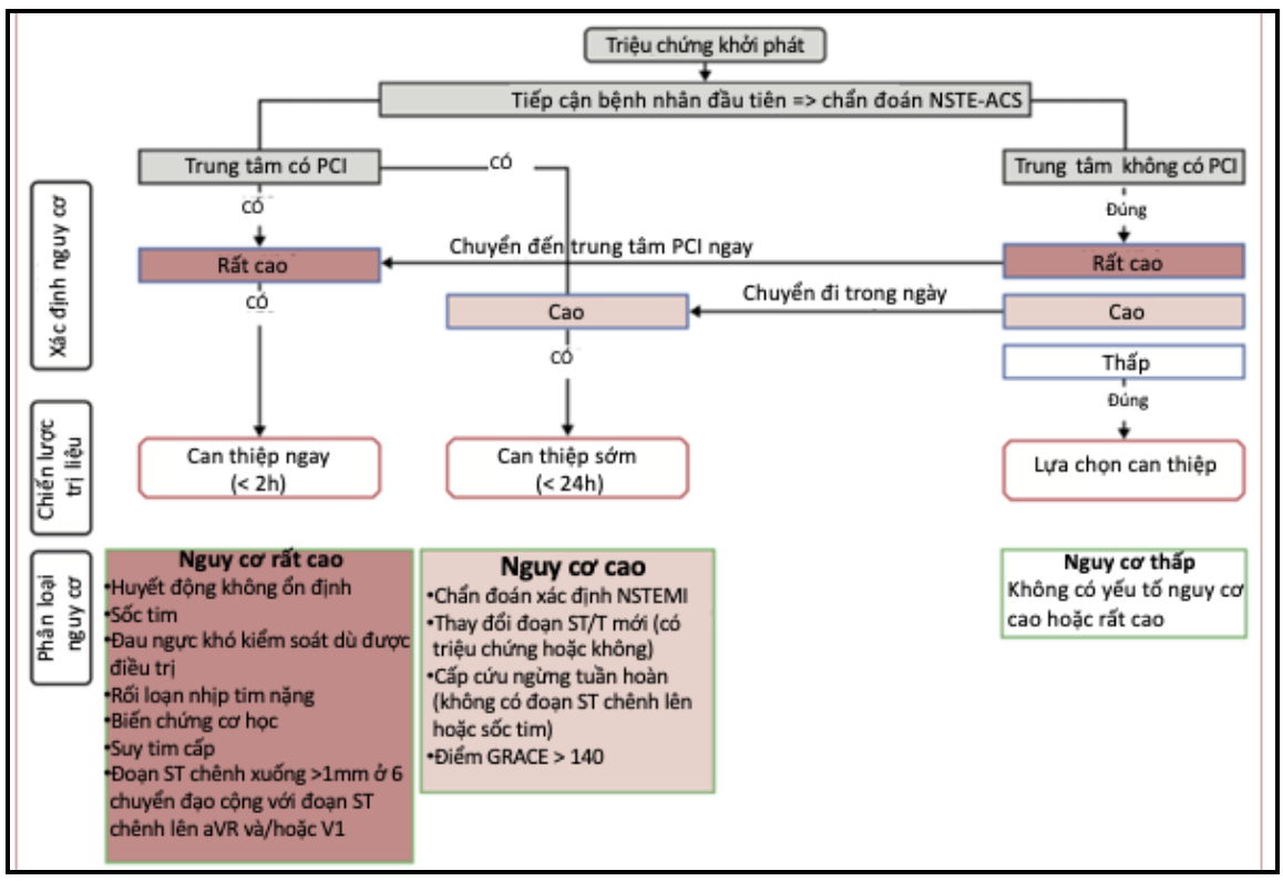 Chiến lược tái thông động mạch vành