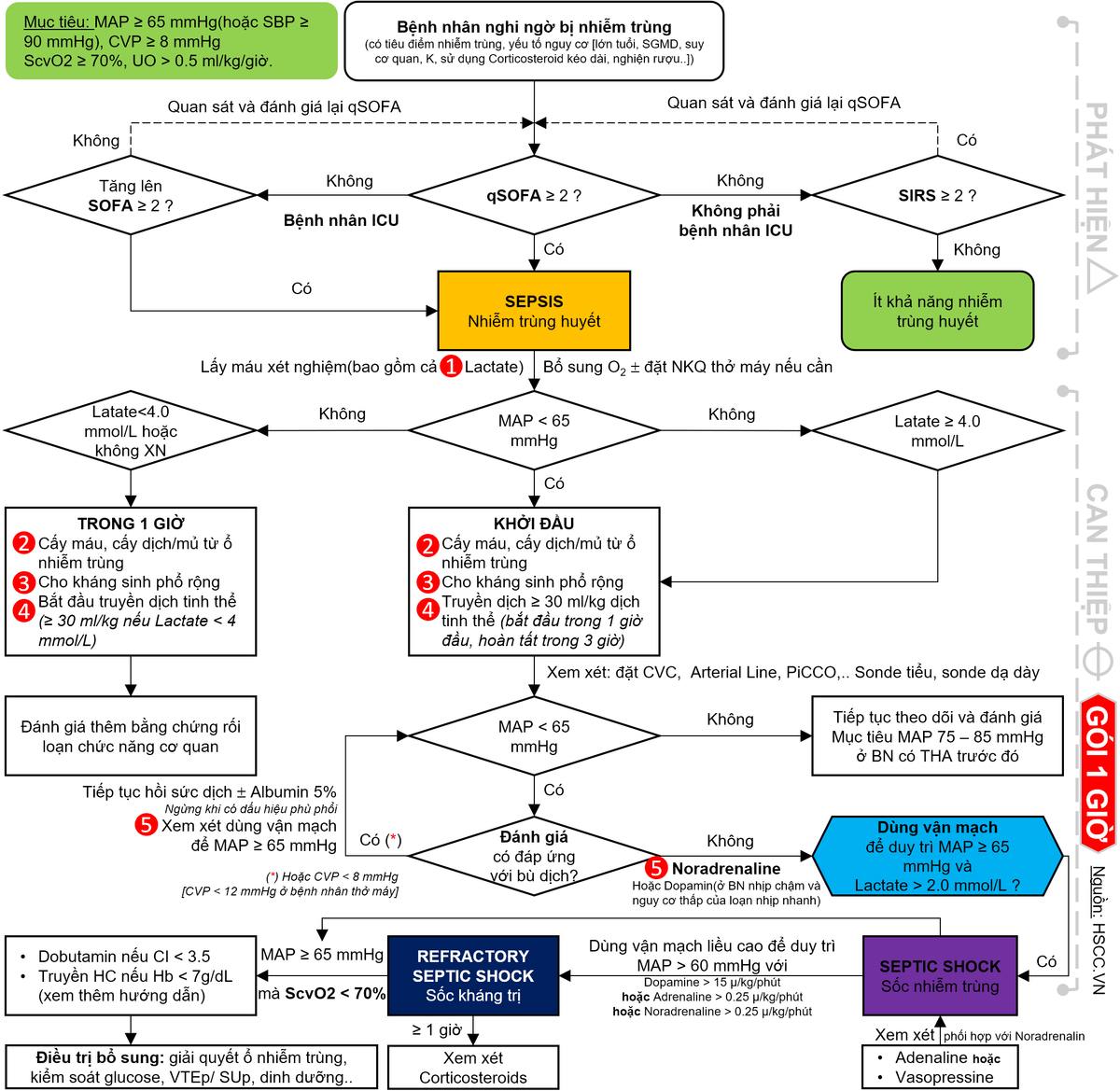 Nhiễm trùng huyết và sốc nhiễm trùng