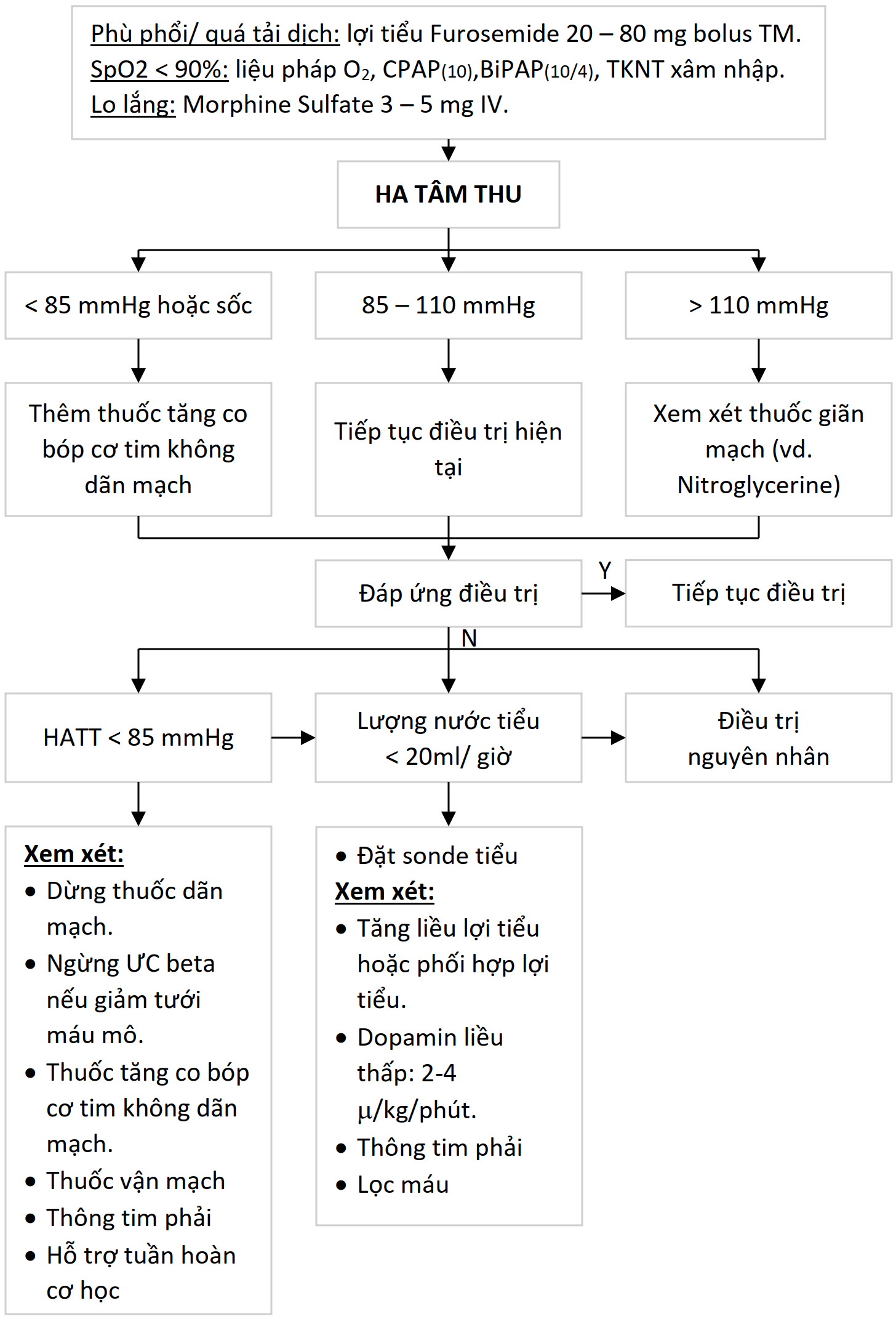 Sơ đồ tiếp cận suy tim mất bù cấp