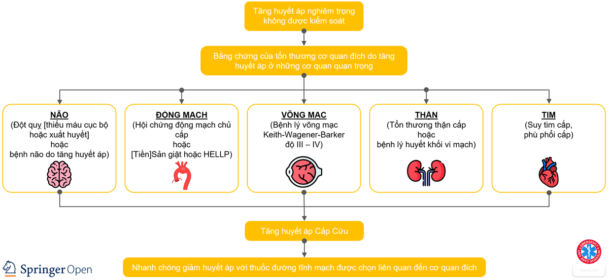 Tiếp cận tăng huyết áp cấp cứu