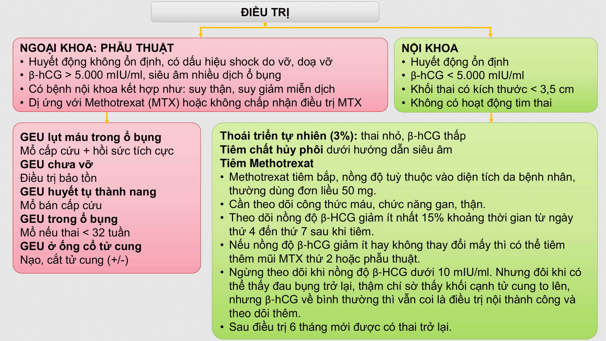 Sơ đồ tiếp cận điều trị
